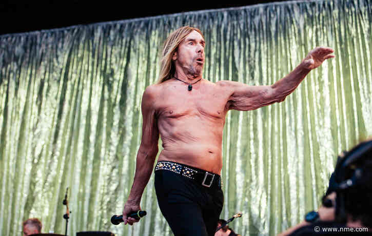 Iggy Pop calls for protection of big cats in Florida