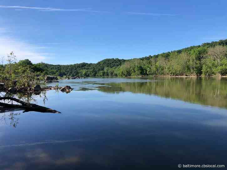 Body Of Missing Swimmer In Potomac River Found Near Hermit Island