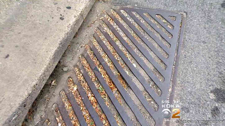 Allegheny Co. Health Department To Treat Storm Water Catch Basins To Help Fight Mosquito Breeding