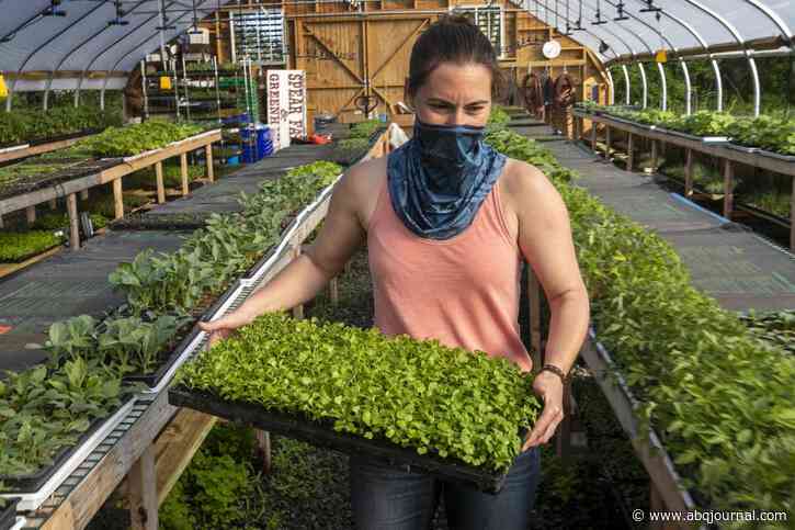 Farm-to-table dining takes on new meaning amid pandemic
