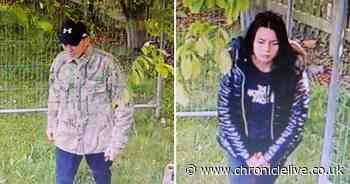 CCTV appeal after copper is stolen during Ashington burglary