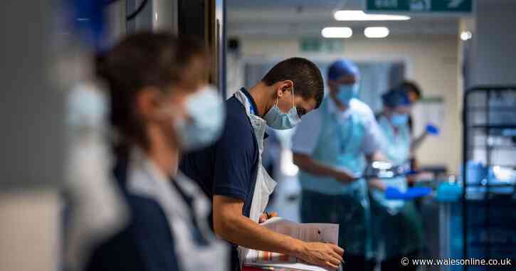 Eight more people die after contracting coronavirus in Wales as 10 local authorities report no new cases - Wales Online