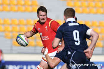 Ward goes east as Edwards and Hamilton exit Bristol - Welsh Rugby Union