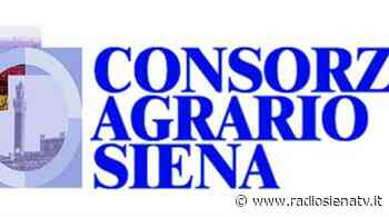 Il Consorzio Agrario di Siena: "Nessuna liquidazione, continuità aziendale non in discussione" | RadioSienaTv - RadioSienaTv