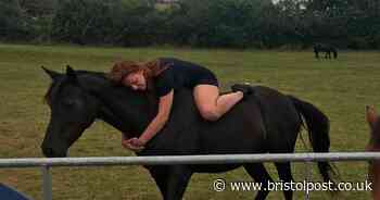 Owners' trauma after beloved horse is killed by faulty power line