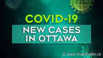 One death, eight new cases of COVID-19 in Ottawa - Newstalk 1010 (iHeartRadio)