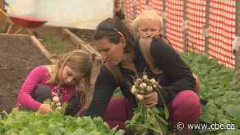 N.S. and Ottawa roll out program to help farmers cope with COVID-19 - CBC.ca