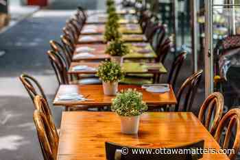 City of Ottawa looking to allow outdoor space for businesses and food trucks in parks - OttawaMatters.com