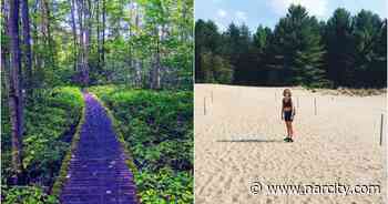 This 3.2 km Forest Trail In Ottawa Leads To Hidden Golden Sand Dunes - Narcity Canada