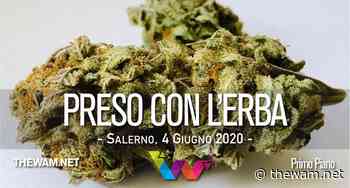 Con un chilo d'erba nello zaino. Arrestato a Capaccio Scalo - The Wam