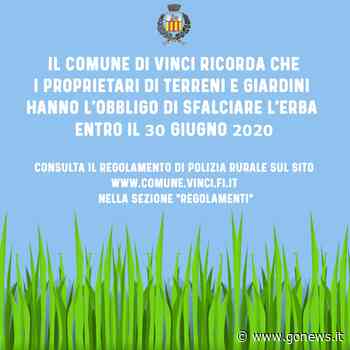 Sfalcio dell'erba Vinci, farlo entro fine mese - gonews