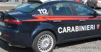 Feltrino Quero Vas, si infortuna mentre taglia l'erba per Veneto Strade - L'Amico del Popolo