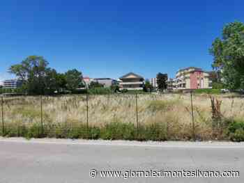 Montesilvano/ erba aree private, Di Sante all'attacco: 'Chi paga? Il privato oi contribuenti? - Giornale di Montesilvano