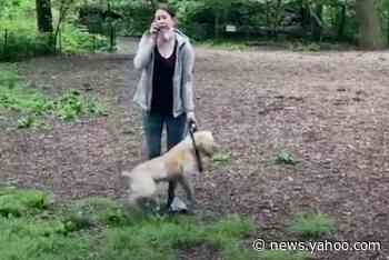 Amy Cooper: Central Park dog walker who called police on black man has pet returned
