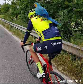 FILOTTRANO / Frankie sempre a rimorchio sulla bicicletta, da Michele Scarponi a Nibali - QDM Notizie