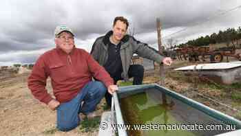 Bathurst's free water scheme extended for the sixth time - Western Advocate