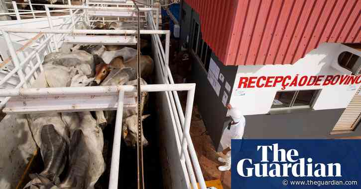 Meat giants selling to UK linked to Brazil farms in deforested Amazon reserve