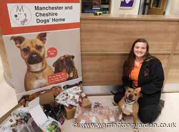 Rescue dogs get tasty treats thanks to Wilko Warrington