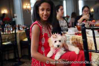Houston teen becomes first Teen Universe Pre-Teen Texas - Houston Chronicle