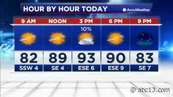 Dry, hot weather ahead as we keep an eye on Tropical Storm Cristobal - KTRK-TV