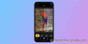 Camera+ 2 for iOS gains ‘Magic ML’ feature for one-touch intelligent photo improvements