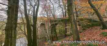 Witness appeal after boys are attacked on Bilton Viaduct path