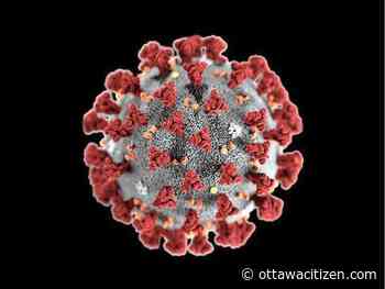 COVID-19: Ontario testing exceeds 20,000 for second day; 344 new cases, 15 more deaths