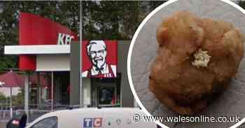 'Fly eggs' discovered on KFC popcorn chicken