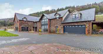 Inside the million pound mansions for sale in Newport right now