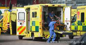 Council agreed to lease unit for storing bodies as Wales entered lockdown
