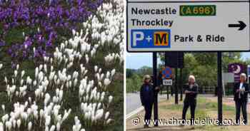 Fury as council ruins flower bed dedicated to suffragettes