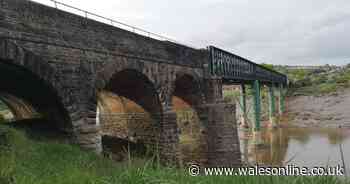 The hidden beauty spots in Newport you can visit on a walk