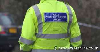 Man racially abused PCSO and lied to hospital staff dealing with Covid-19