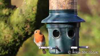 Coronavirus lockdown wildlife recordings appeal