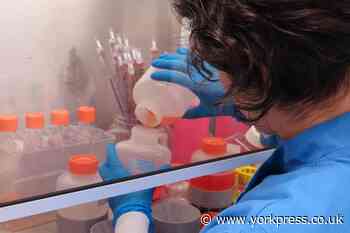 Coronavirus 'R' number in Yorkshire revealed - as parts of the UK rise above 1