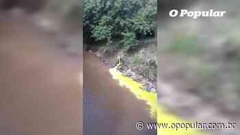 "Rio amarelo" com produtos químicos tinge as águas do Córrego Anicuns; veja vídeo - O Popular