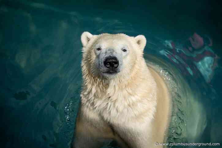 Coronavirus Update: Columbus Zoo Reopening & More