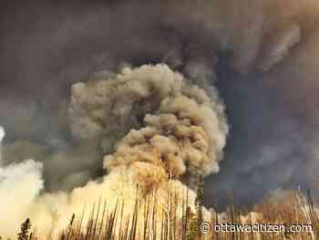 Forest fire suppression measures can actually increase risks around communities, scientist says