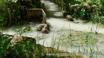 Warum der Bach trüb ist