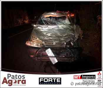 Animal na pista provoca acidente na rodovia MG-190 - Patos Agora