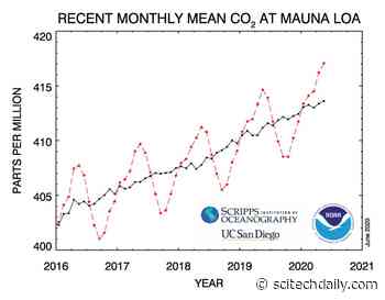 May 2020 Had the Highest Monthly Atmospheric CO2 Reading Ever Recorded