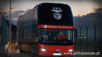 Autocarro do Benfica apedrejado. Dois jogadores para o Hospital - Portal Cascais
