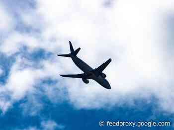 Google offers $1,000 credits to struggling small businesses. Travel CEOs say it's 'utterly underwhelming'     - CNET