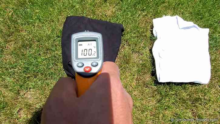 Hey Ray! ‘Albedo’ Shows How Light Reflects Off Of Clothing And Surfaces