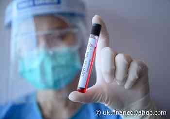 Coronavirus: Family pest control firm was handed £108m PPE contract