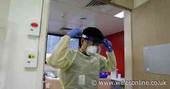 10 more people die in Wales after contracting coronavirus