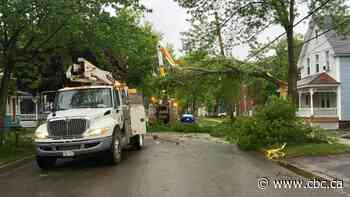 Thousands still without power in Fredericton after thunderstorm