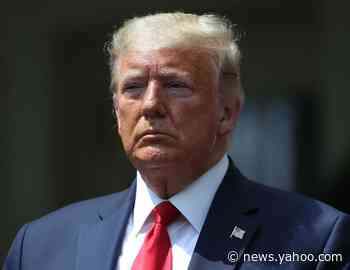 Trump says the economy will cure the 'very sad problem' of police killing blacks