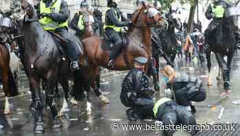 Horse bolts through crowd as police and demonstrators clash at anti-racism rally
