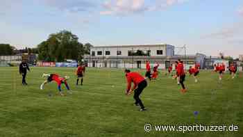 FC Grimma setzt in der kommenden Saison auf die Jugend - Sportbuzzer